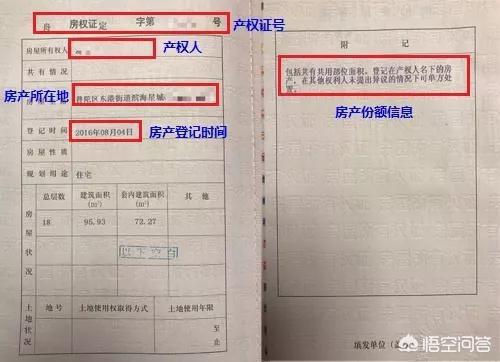 继承孙子的房产怎么办(继承孙子的房产怎么办理过户)