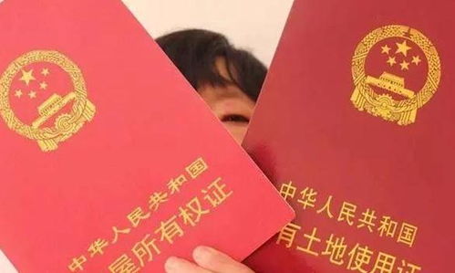 名字下房产以后怎么办(名字下房产以后怎么办手续)