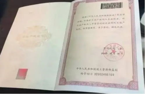 房产首付原件丢了怎么办(首付单据丢了能办理房产证么)