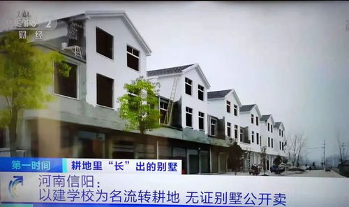 偃师华众房产怎么样(洛阳华众机械制造有限公司怎么样)