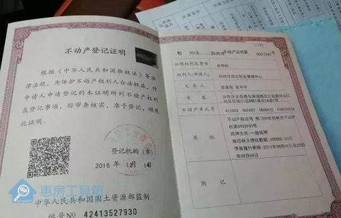 爱山东怎么添加房产证(爱山东app怎么办理不动产)