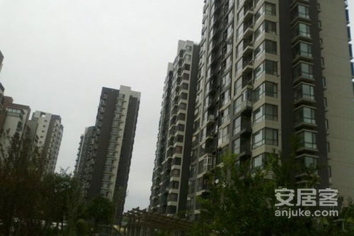 仁居房产经纪怎么样(仁居地产)