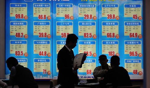 县城怎么做房产租房直播(在县城租房子用什么软件)