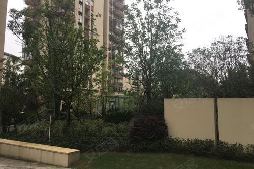 北戴河阿伟房产怎么样(北戴河阿娜亚房价)