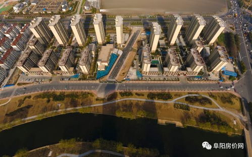 金马集团房产怎么样啊(金马地产的房子怎么样)