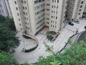 寿光嘉怡房产怎么样(寿光佳怡物流电话查询)