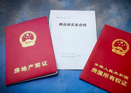 无房产权原因怎么填写啊(无房产啥意思)
