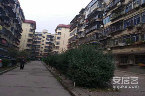 襄阳东哥房产怎么样(湖北襄阳东方小区房屋出售)