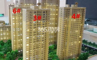 瑞安精英房产怎么样啊(瑞安精英网)