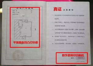 怎么辨别龙宫房产证真假(龙宫是什么样的?