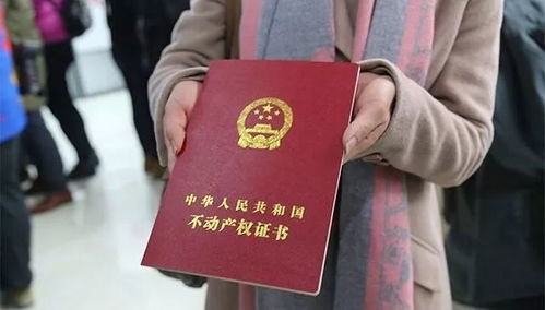 淮阳农村房产证怎么查(农村房产证如何查询系统)