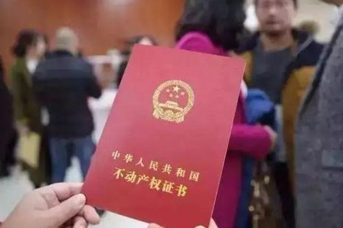 个人怎么去看新房产证(新房房产证怎么查询)