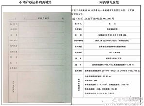 个人住房产权怎么查询(个人房屋产权网上查询)