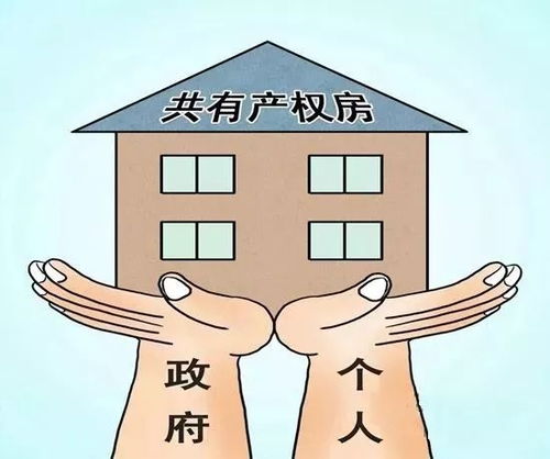子孙共有房产怎么办理(祖孙共有产权房)