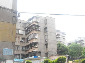 宿松乐家房产怎么样(宿州乐万家小区)