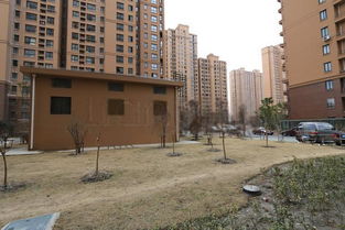 舟山爱屋房产怎么样(爱屋房地产)