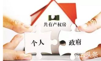 房产共有人转卖怎么办(房产共有人转卖怎么办手续)