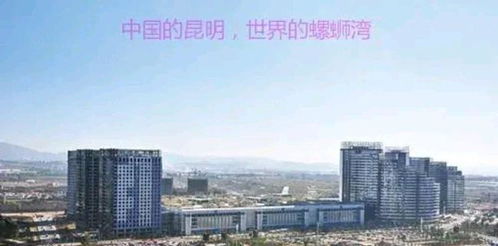 昆明兵哥房产怎么样啊(昆明兵哥房产怎么样啊现在)
