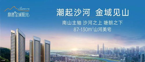 胜世房产测评怎么样(胜世房产测评怎么样知乎)