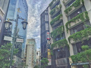 东京三田房产怎么样(东京三田房产怎么样值得买吗)