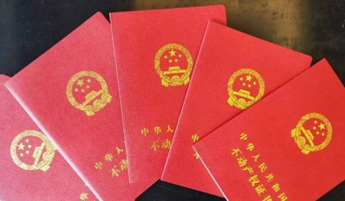 房产证怎么添上孩子名(房产证怎么添加儿子的名字)