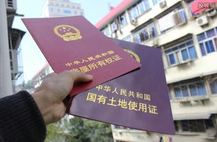 不在线房产咨询怎么办证(房产信息不联网)