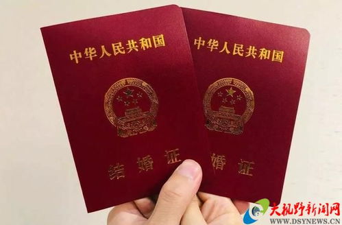 民政通怎么查询房产证(民政局是怎么查询个人房产的)