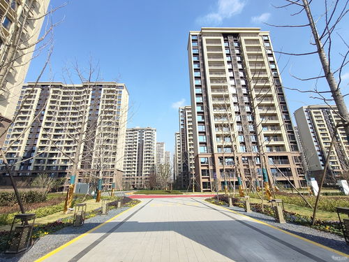 台儿庄房产销售怎么样(台儿庄房产销售怎么样啊)