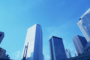 路桥设计院怎么跳房产(路桥设计师的前景)