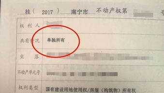 房产证户名怎么查得到(房产证户名怎么查得到信息)