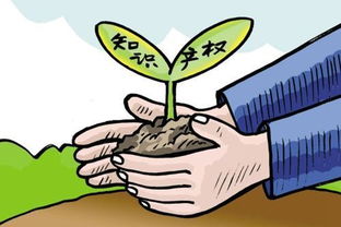 联合受让房产税怎么算(联合产权是什么意思)