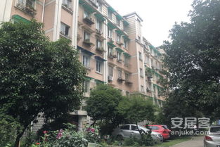 桐乡三昕房产怎么样(桐乡三新村)