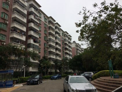 龙岗阿莲房产怎么样(龙岗阿莲房产怎么样啊)