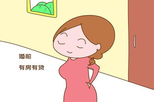 男友自己有房产怎么办(男朋友有房子婚前我自己再买一套可以吗)