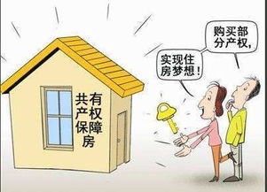 共有房产纠纷怎么判(共有产权房纠纷怎么解决)